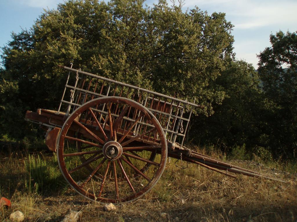 Masia De La Serra De La Cogulla Peñarroya de Tastavins 외부 사진